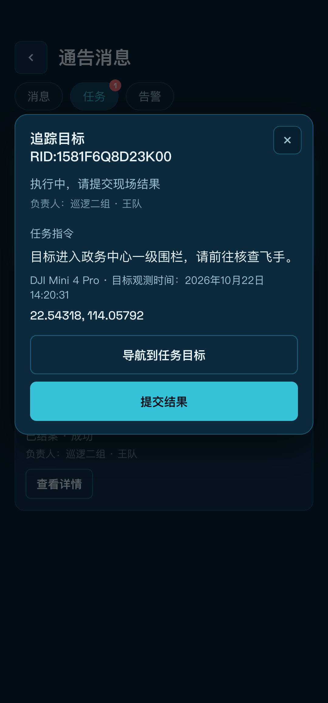 任务详情